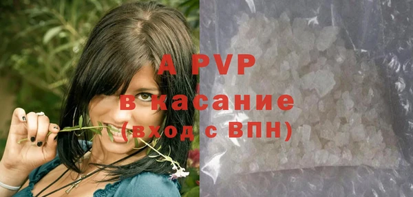 хмурый Киров