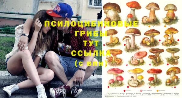 марихуана Кукмор