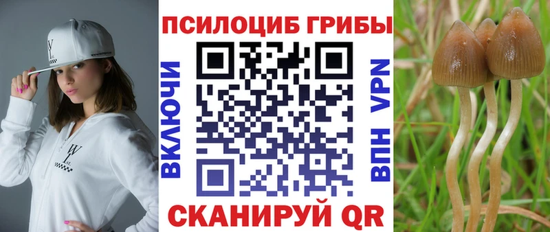 Псилоцибиновые грибы мухоморы  Чулым 